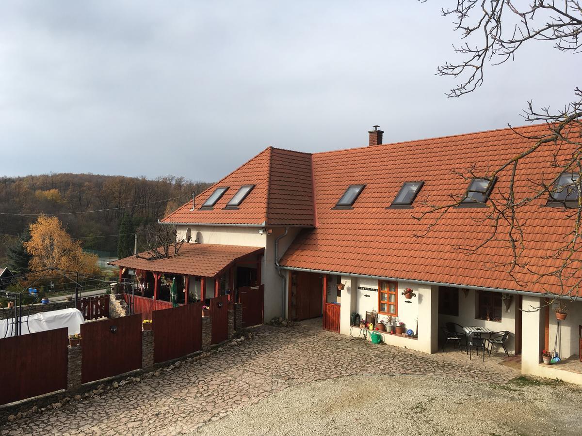 Bakonyi Apartmanhaz Eplény エクステリア 写真